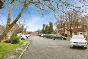 Photo 12- click for photo gallery